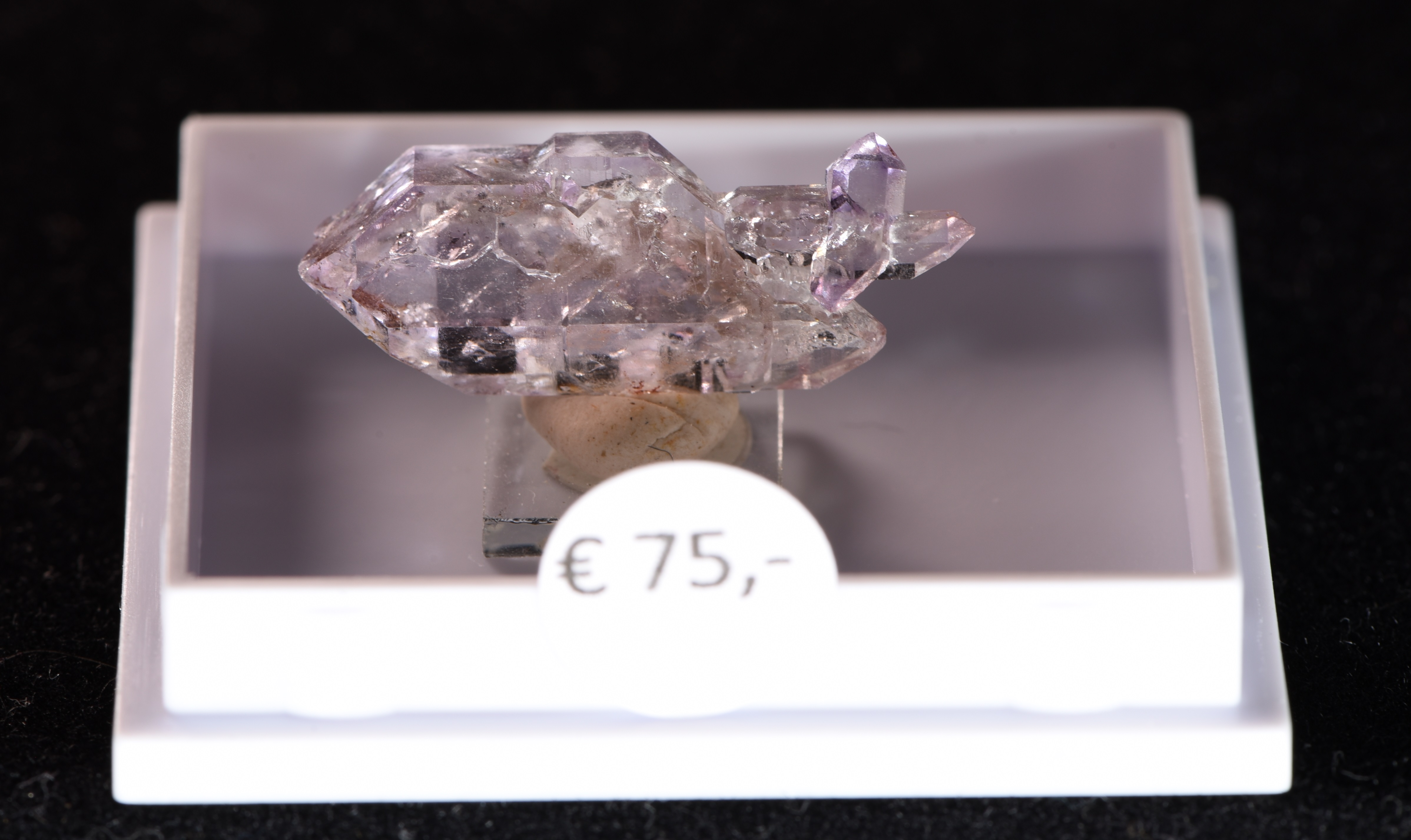 Amethyst aus dem Zillertal (Thumbnail) Amethyst aus dem Zillertal (Thumbnail)