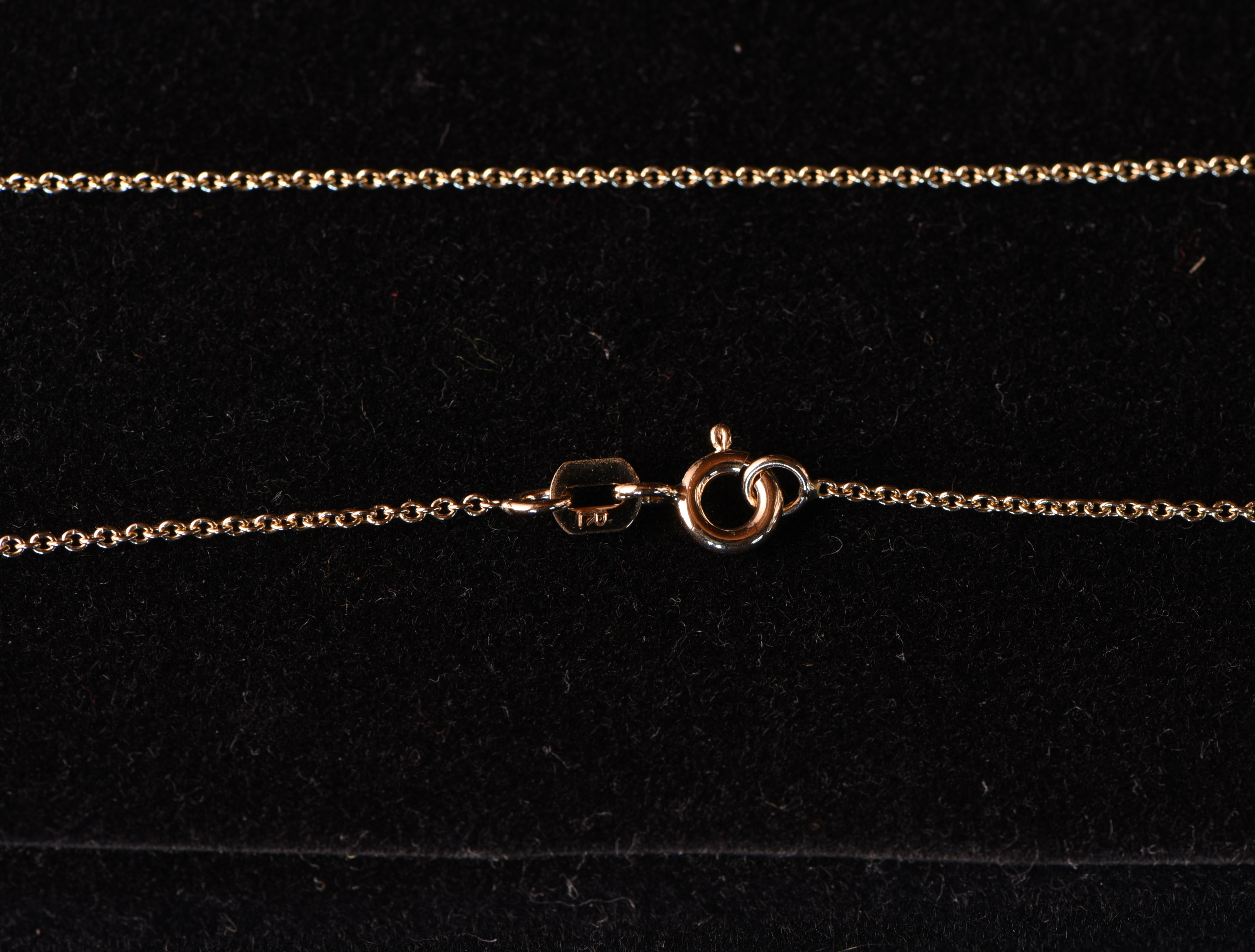 Goldhalskette (45 cm) Goldhalskette (45 cm)